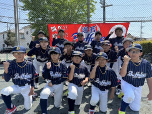 岩西バッファローズA